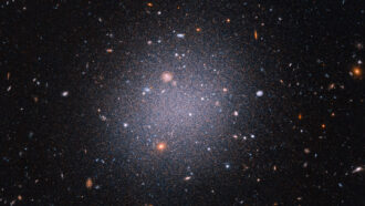 A galactic smashup might explain galaxies without dark matter