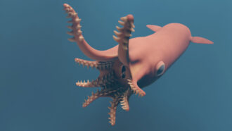Vampire squid are gentle blobs. But this ancestor was a fierce hunter