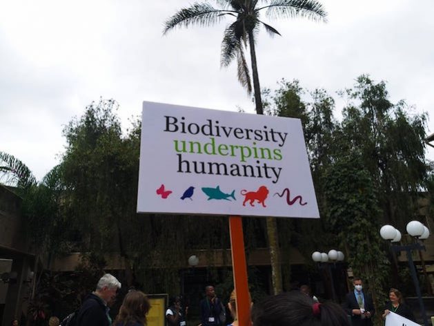 Global Biodiversity Agenda: Nairobi Just Added More to Montreal's Plate